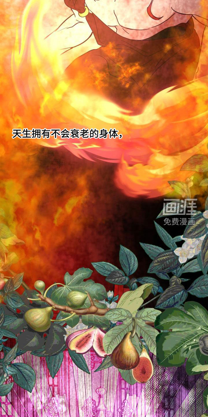 第54话6