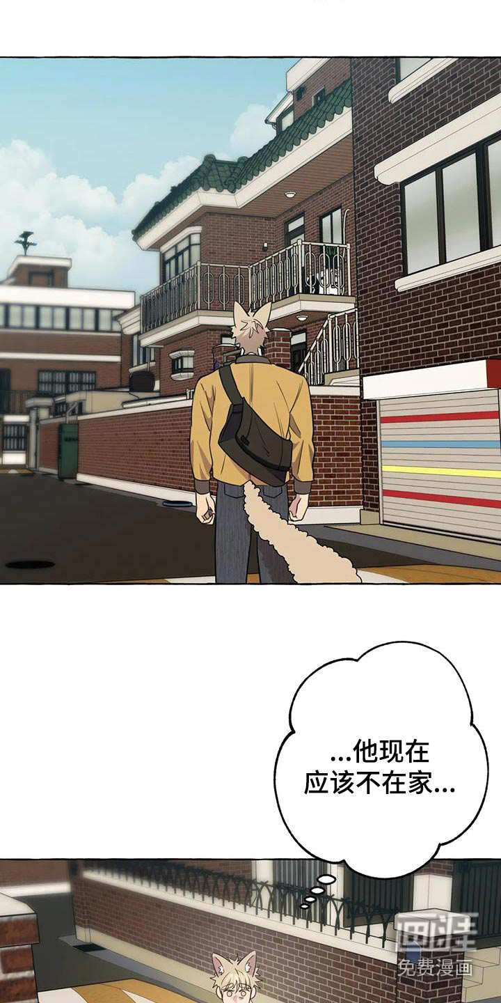 第51话12
