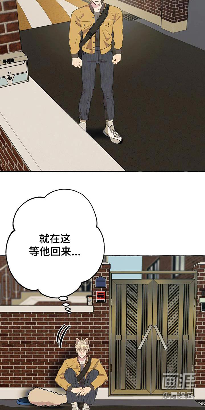 第51话13