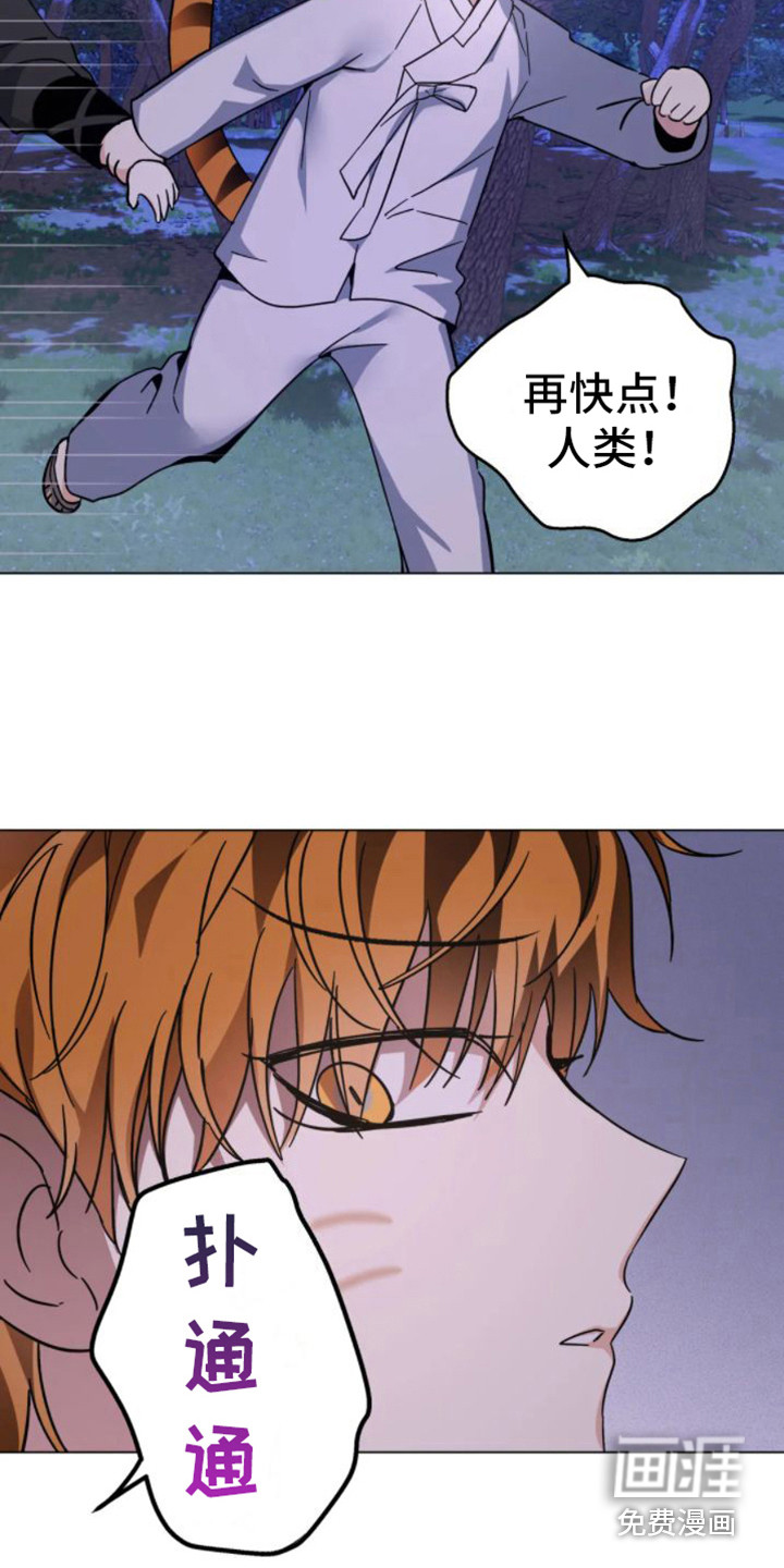 第37话14