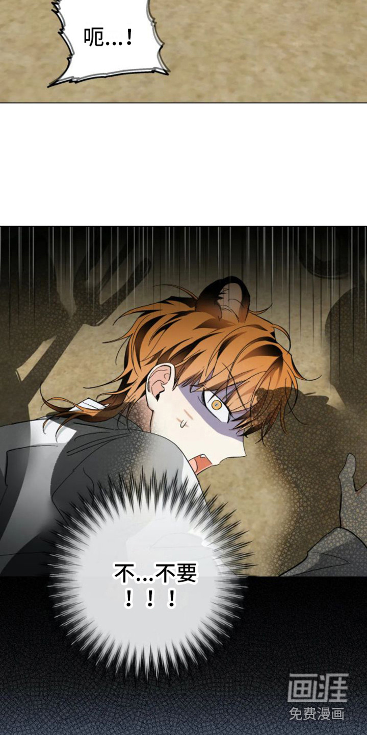 第35话5