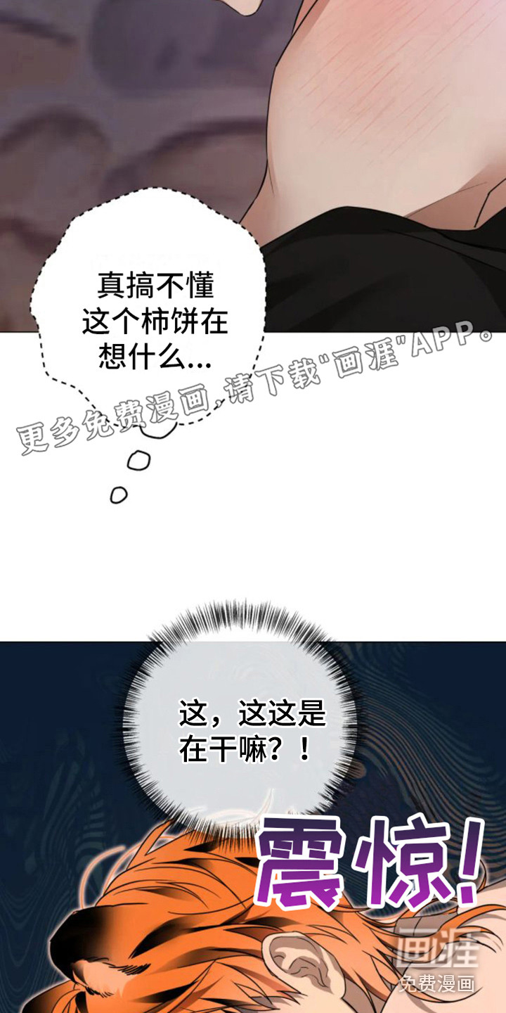 第31话3