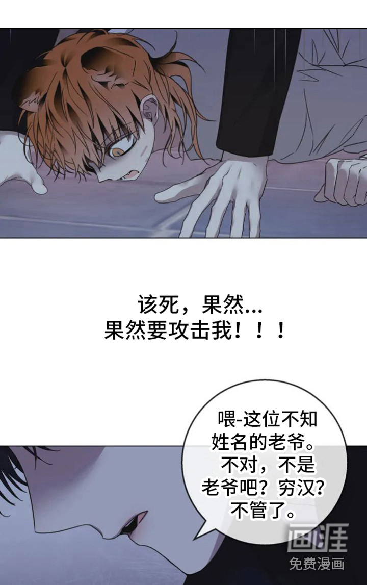 第30话13