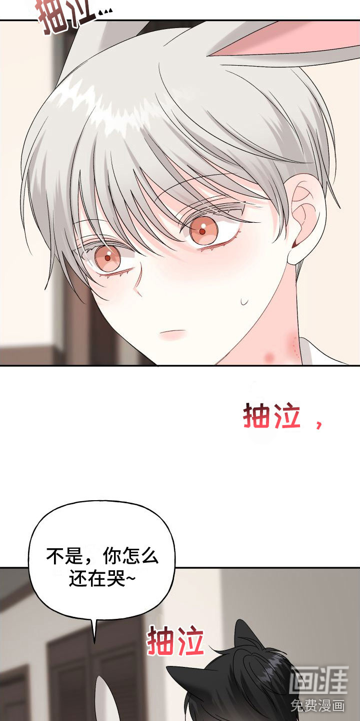 第26话16
