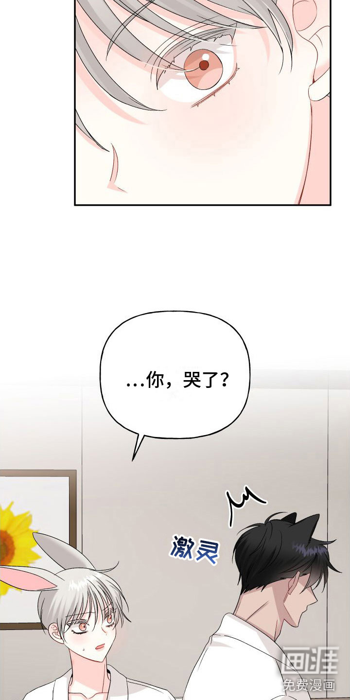 第25话29