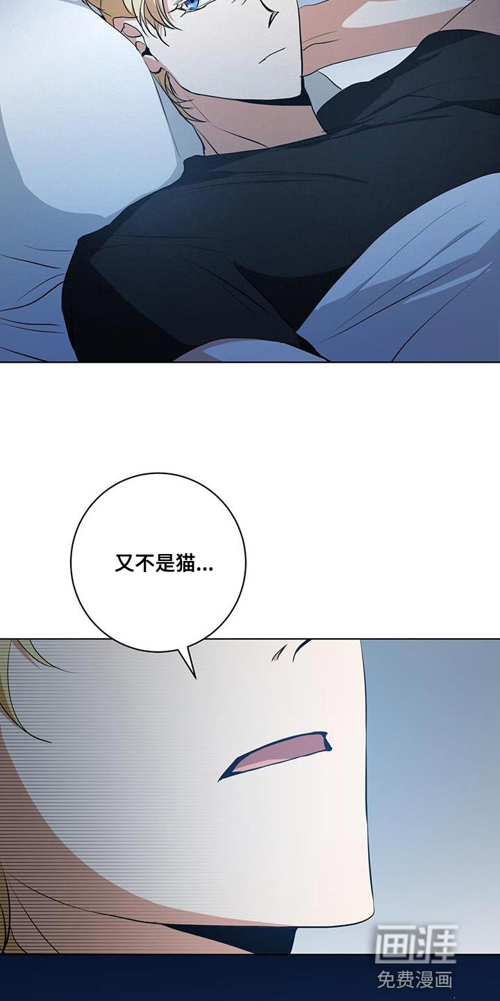 第25话14