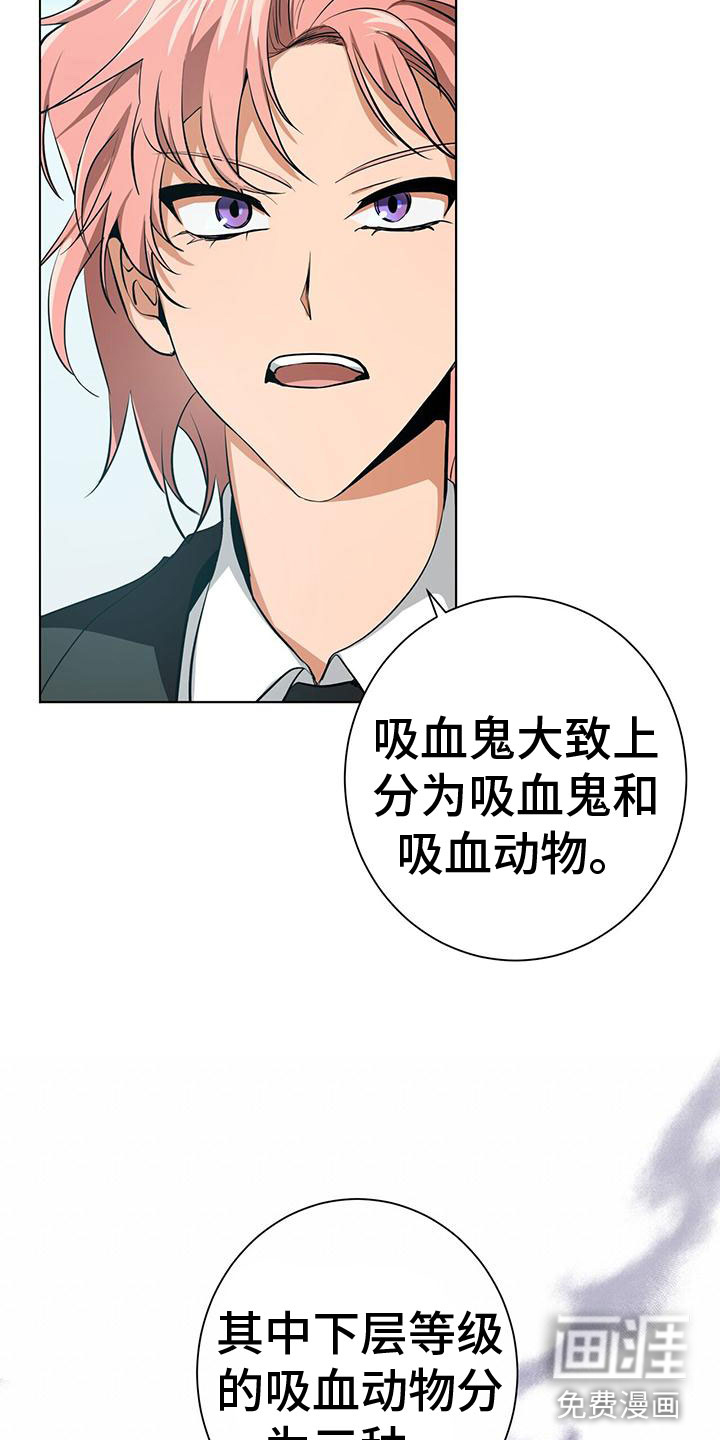 第11话6