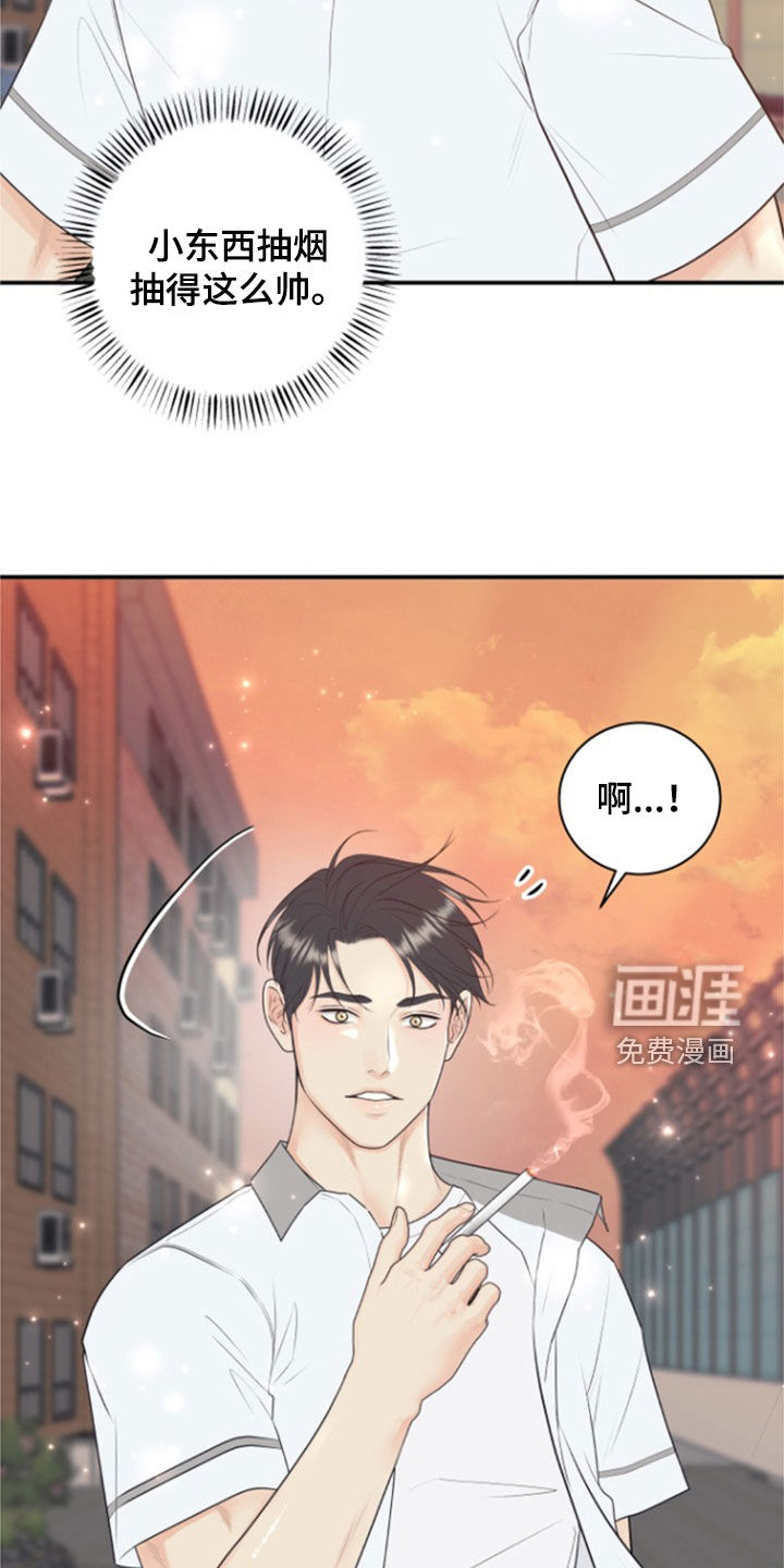 第120话20