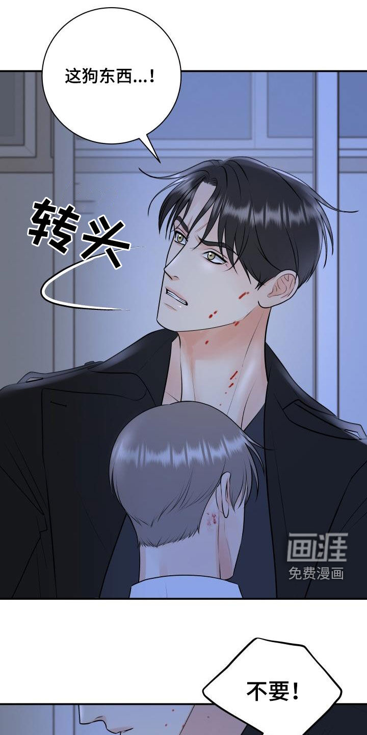 第95话18