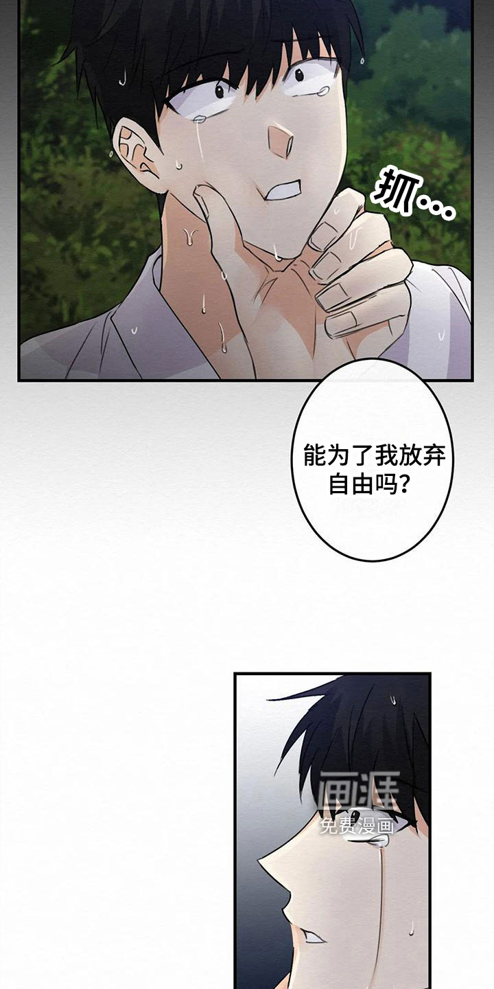 第7话13