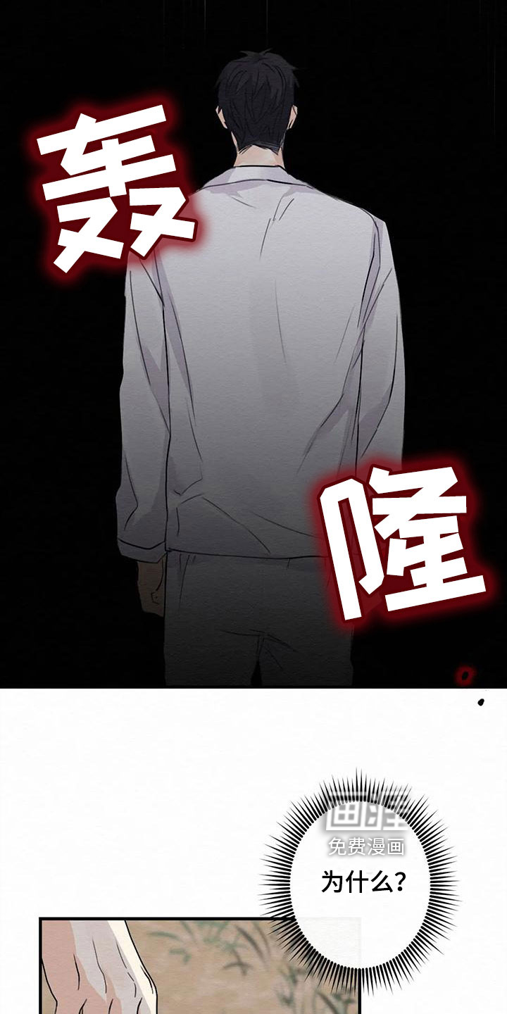 第5话13