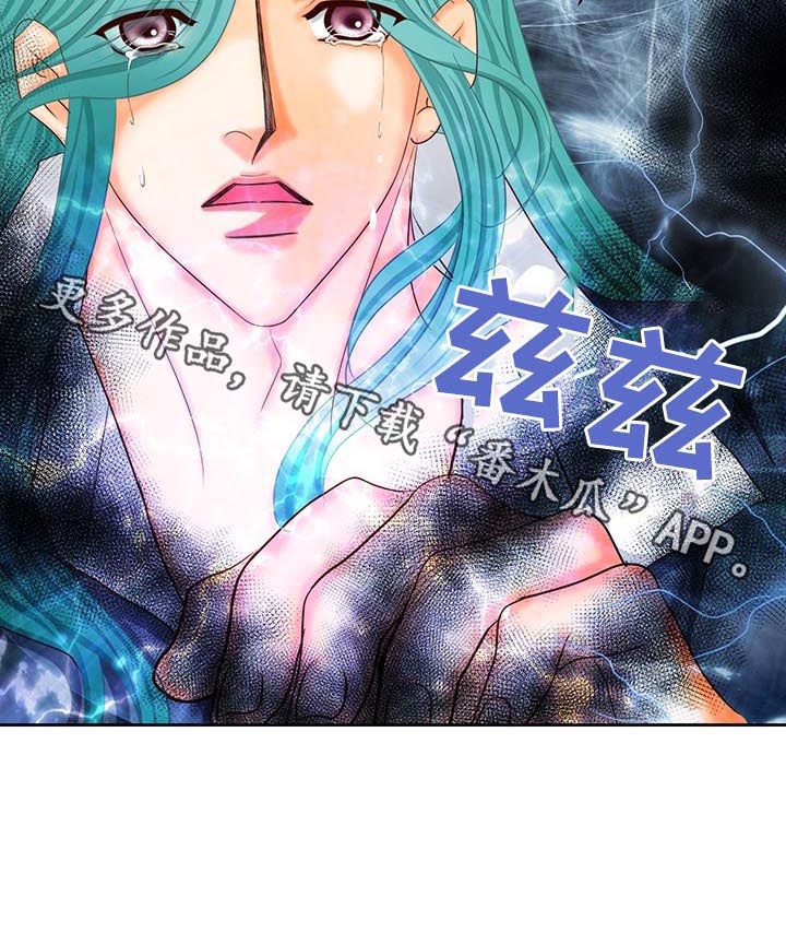 第146话14
