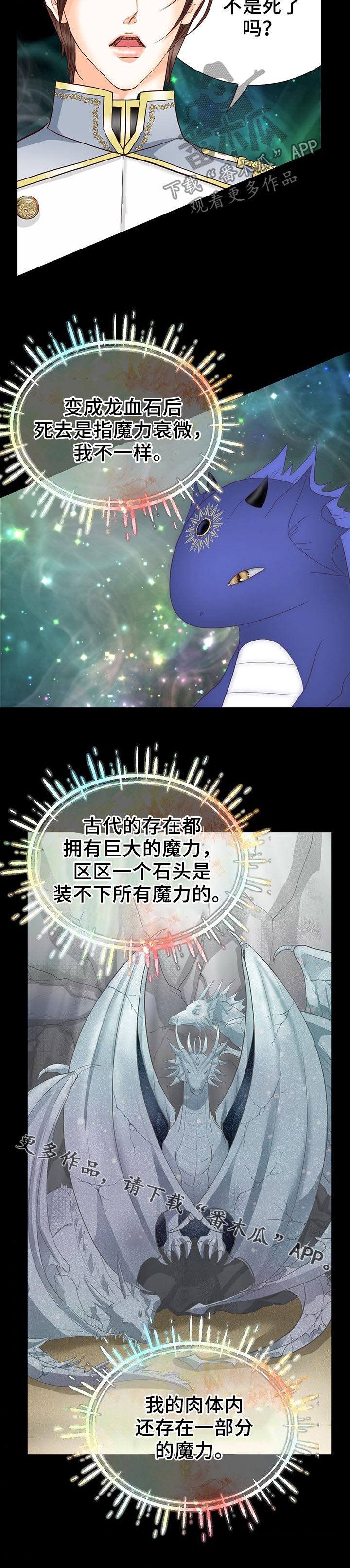 第121话11