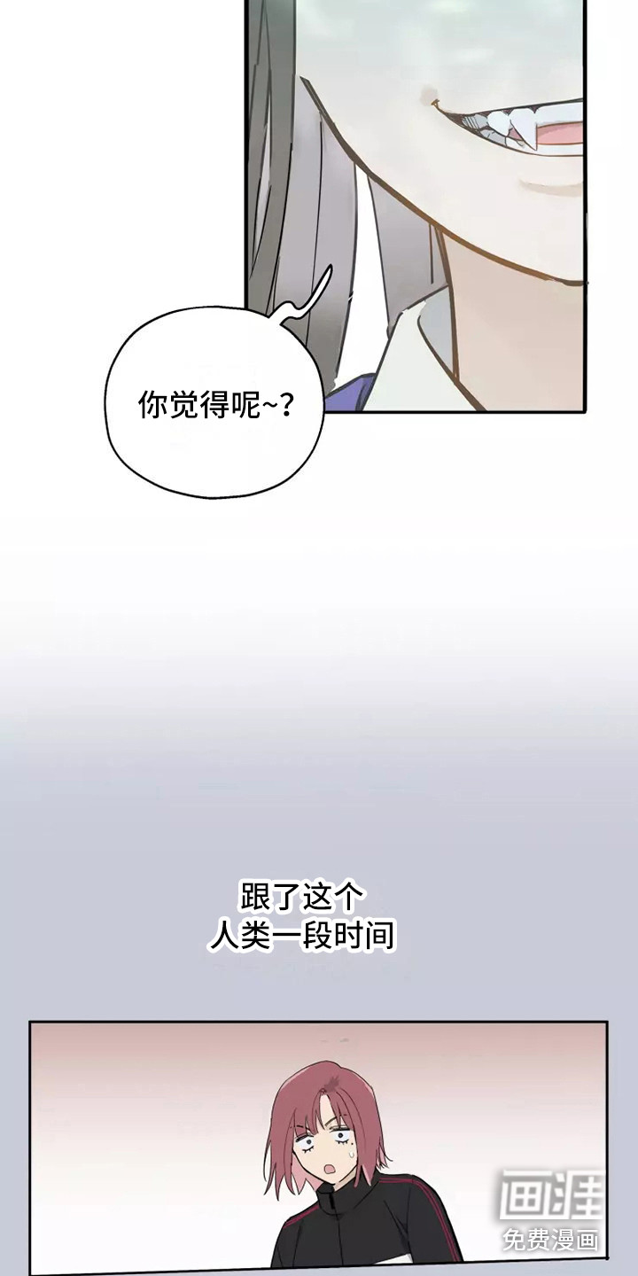 第7话13