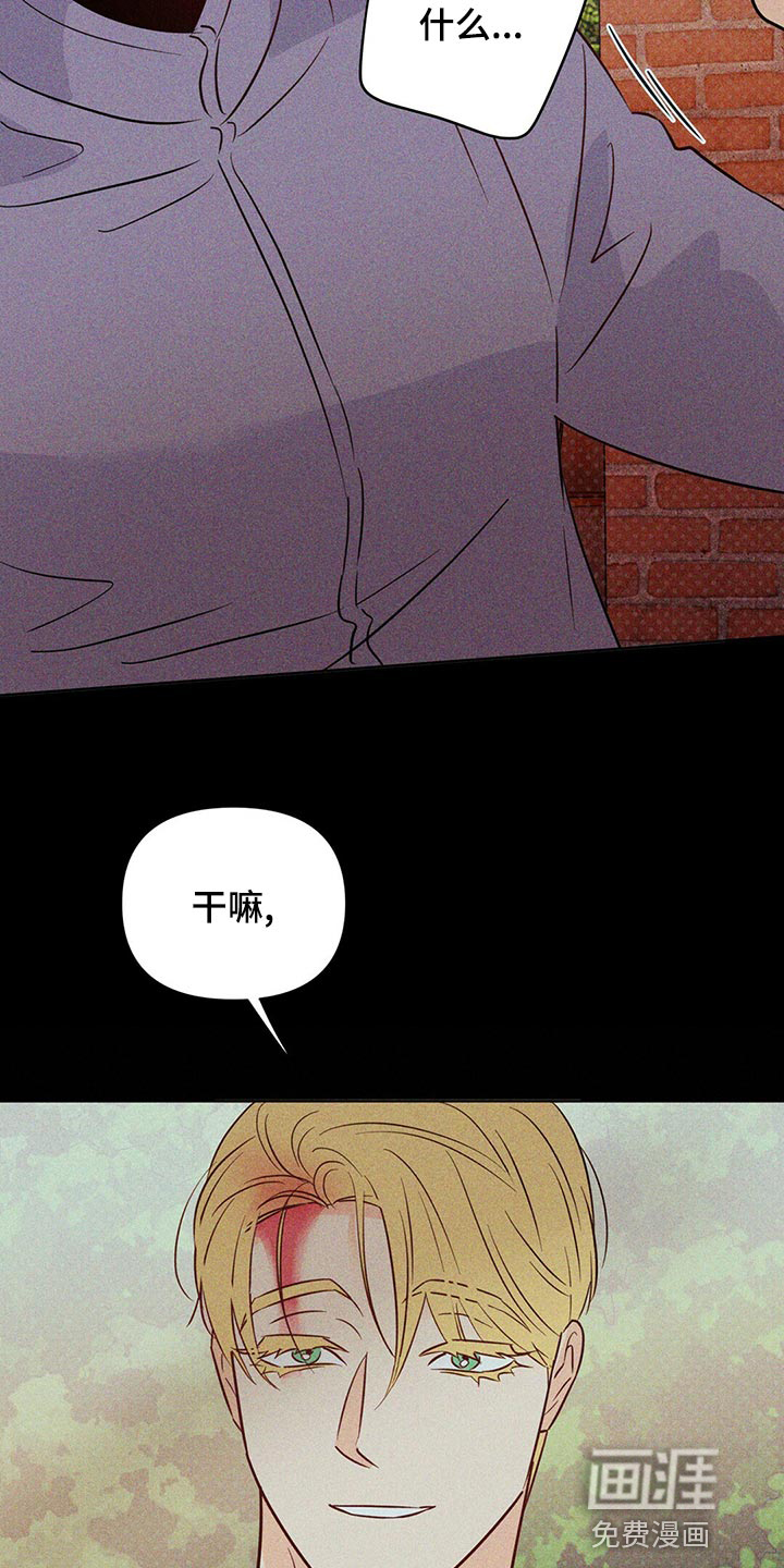 第100话5
