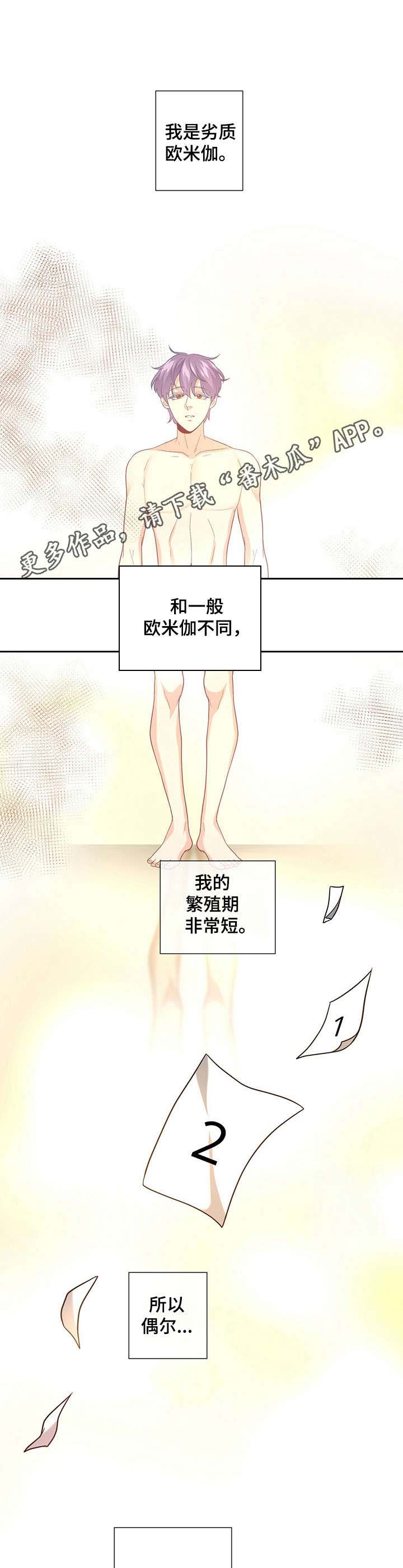 第9话6