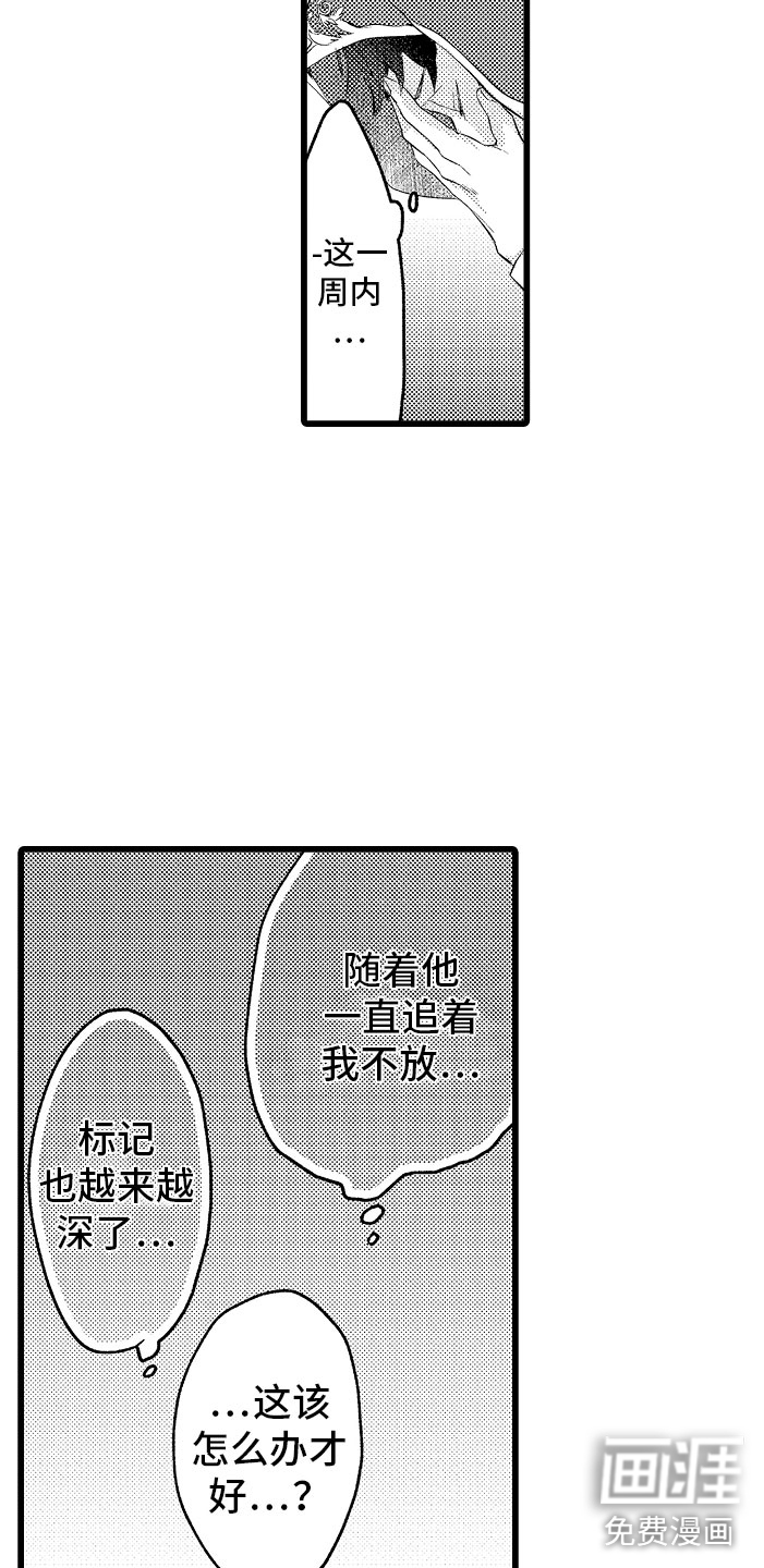 第11话15