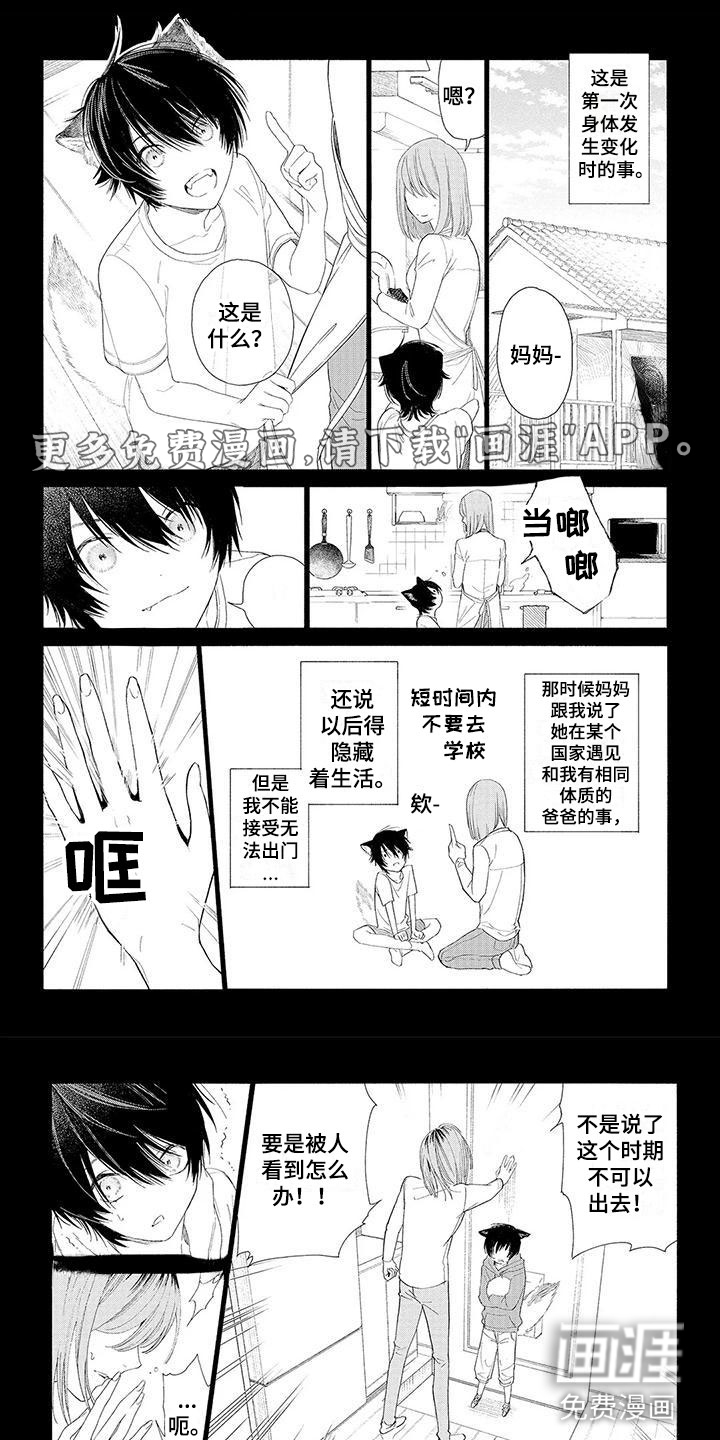 第12话0