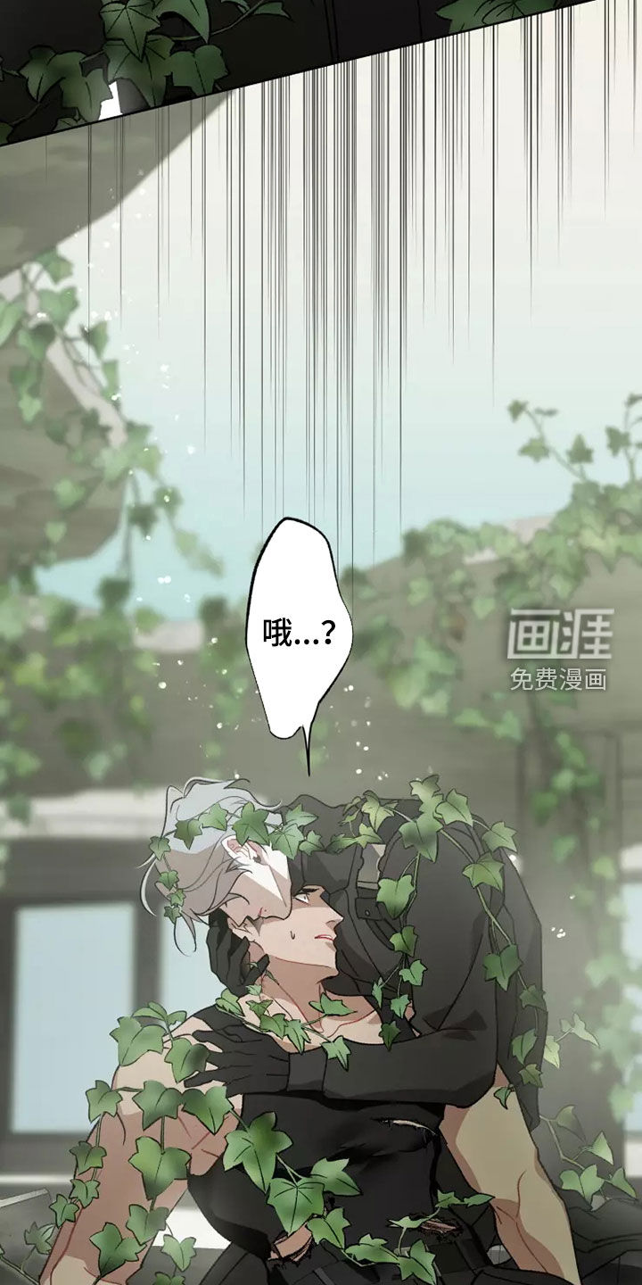 第58话11