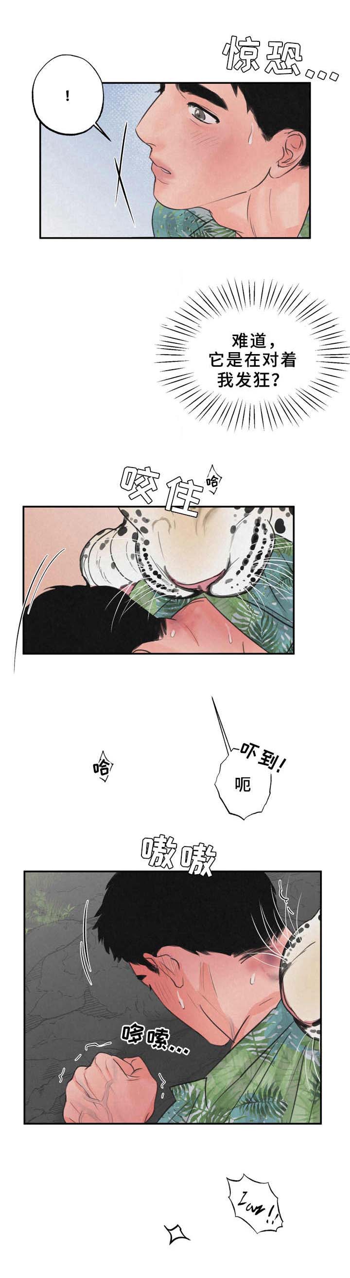 第9话6