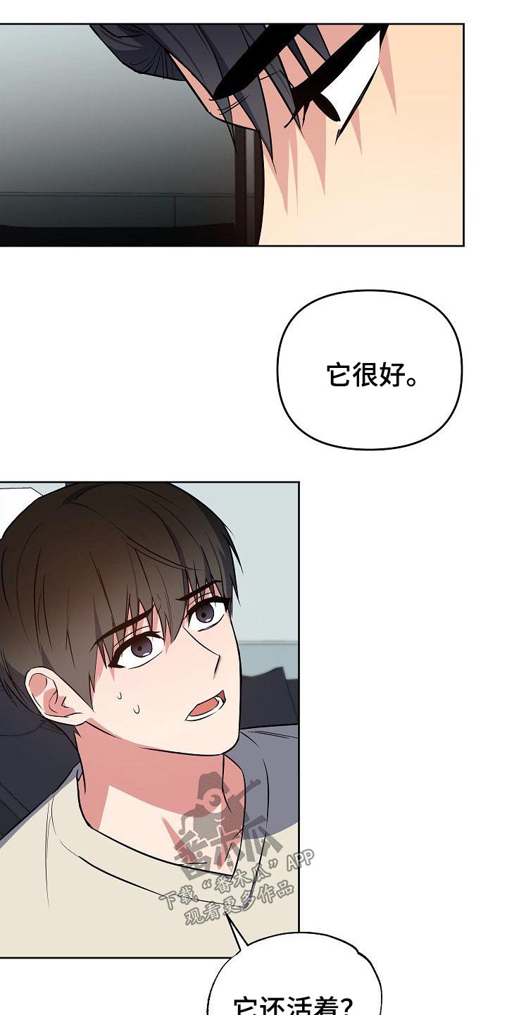 第33话14
