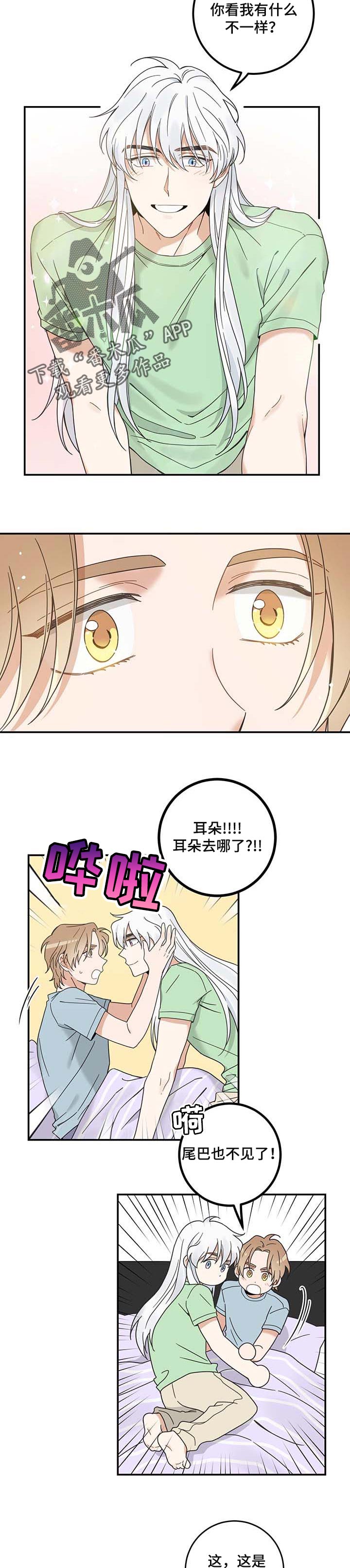 第111话4