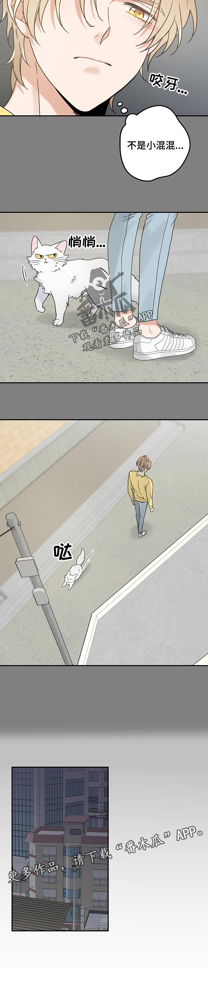 第103话10