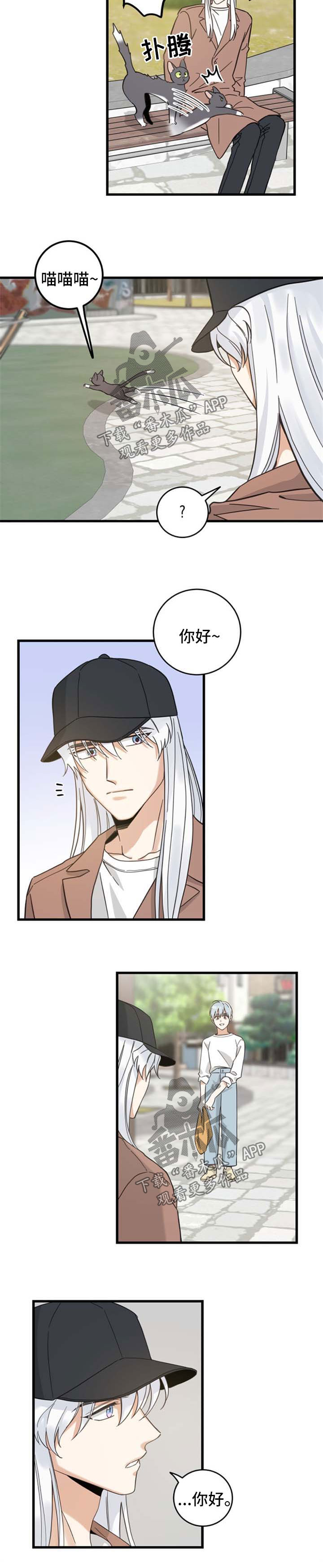 第88话3