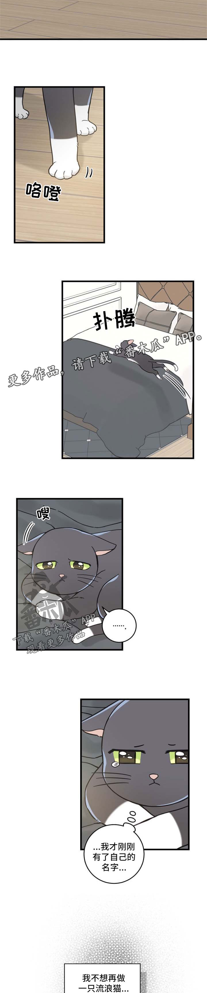 第85话7