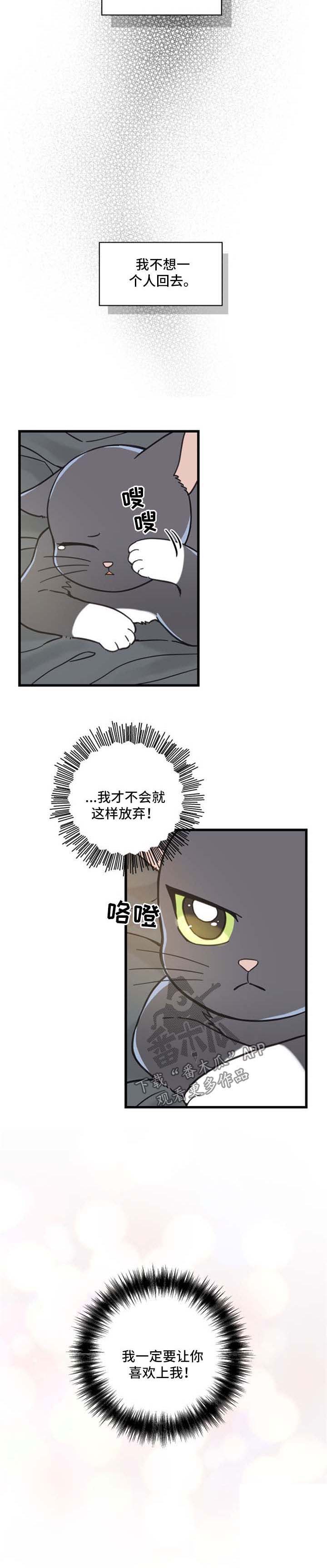 第85话8