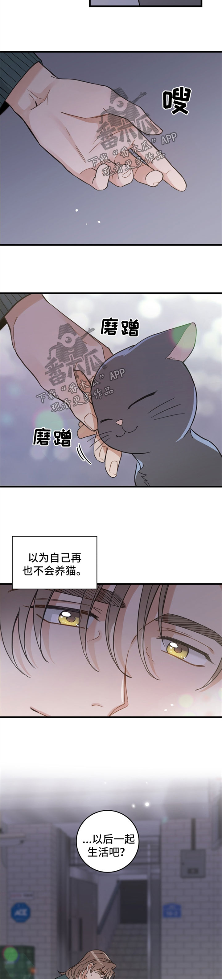 第81话5