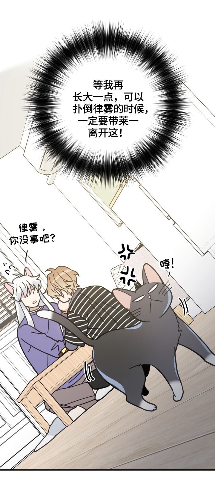 第55话6