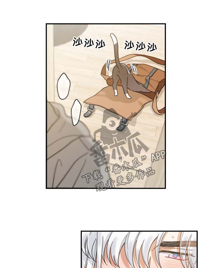 第45话6
