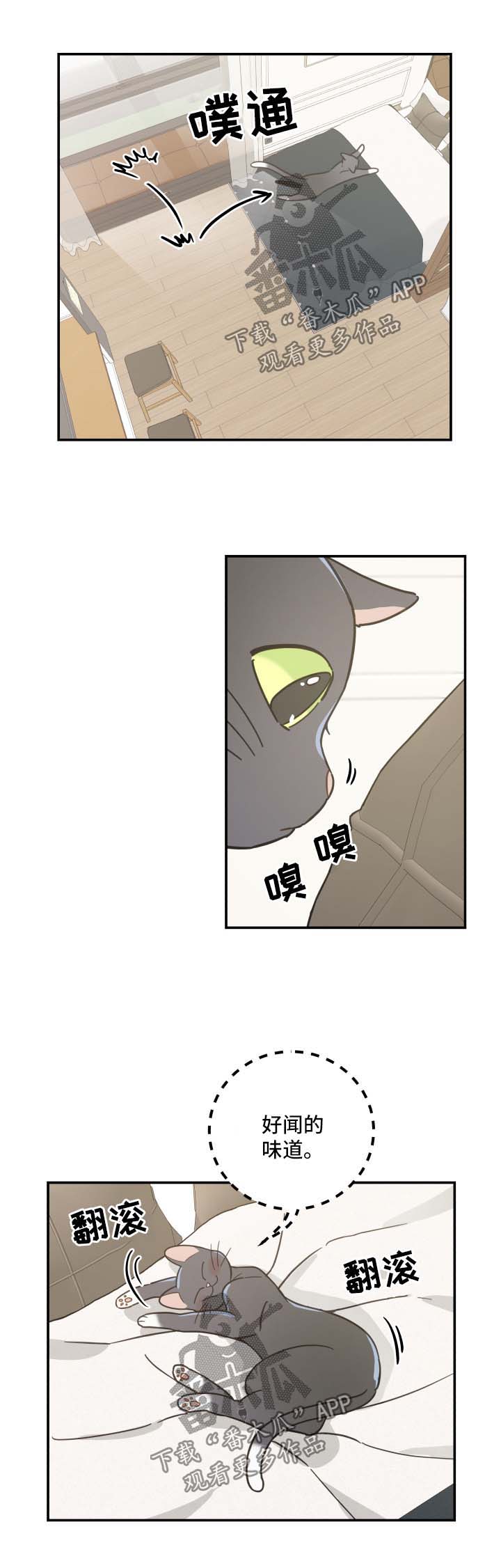 第44话6