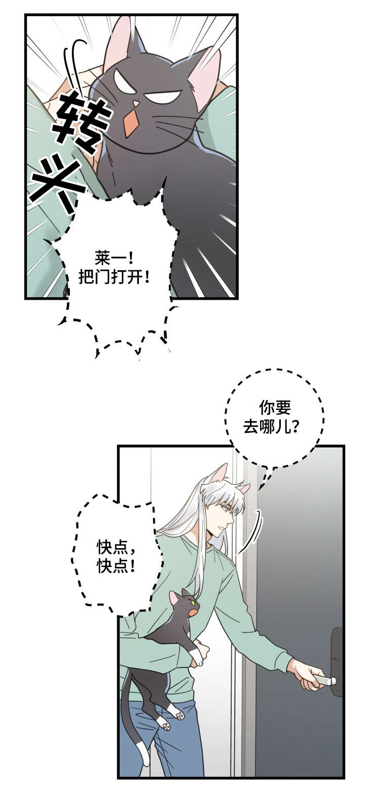 第43话0