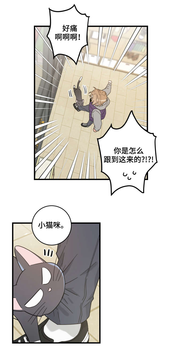 第43话11