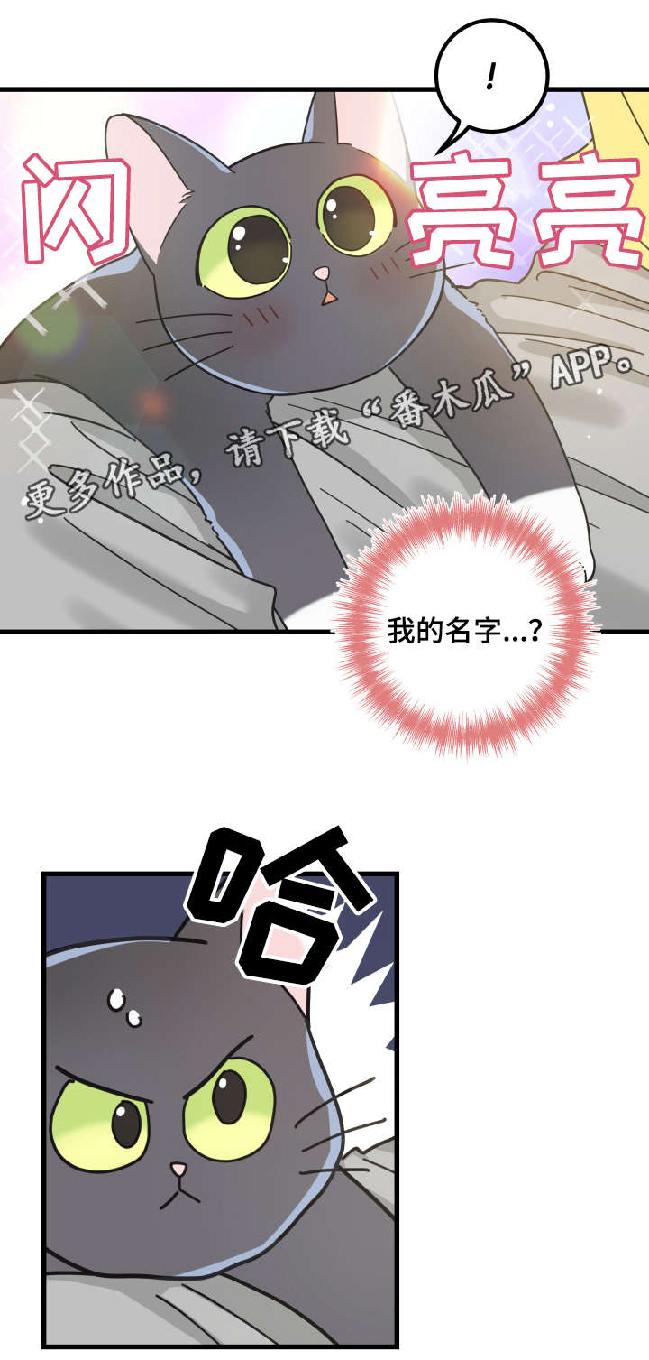 第42话9