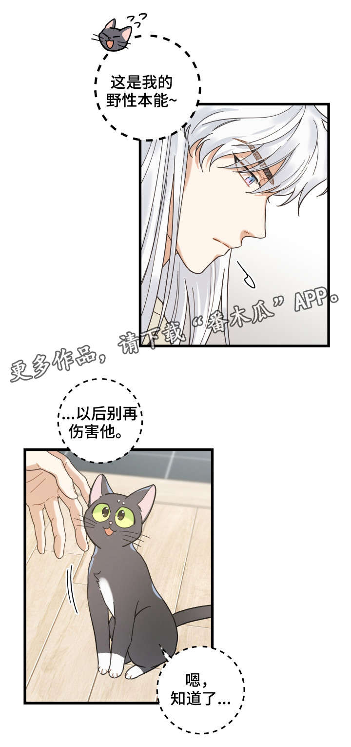 第41话0