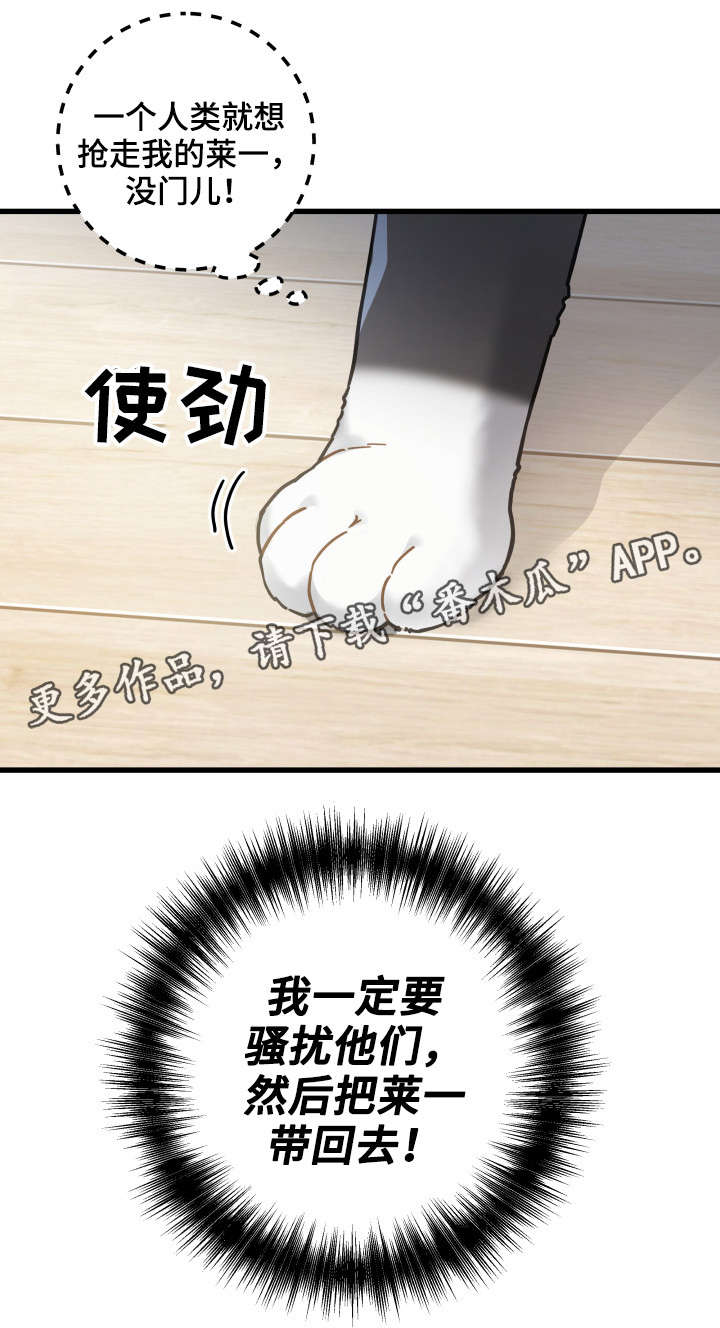 第40话5