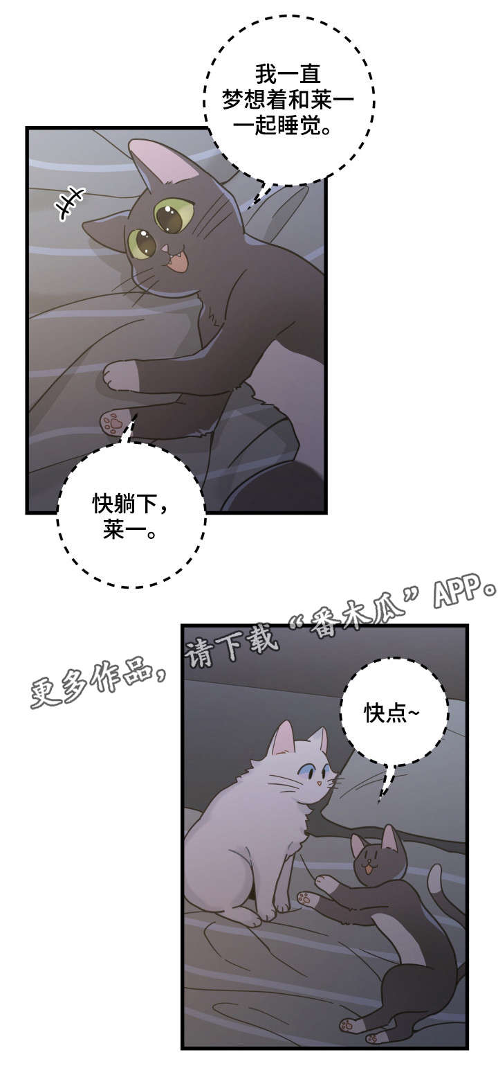 第39话4