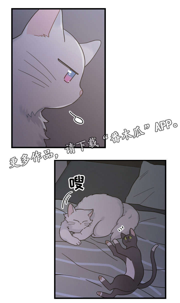 第39话5