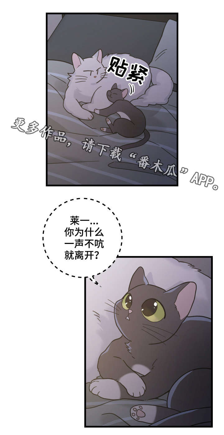第39话6