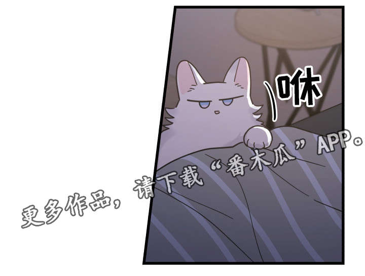 第38话11