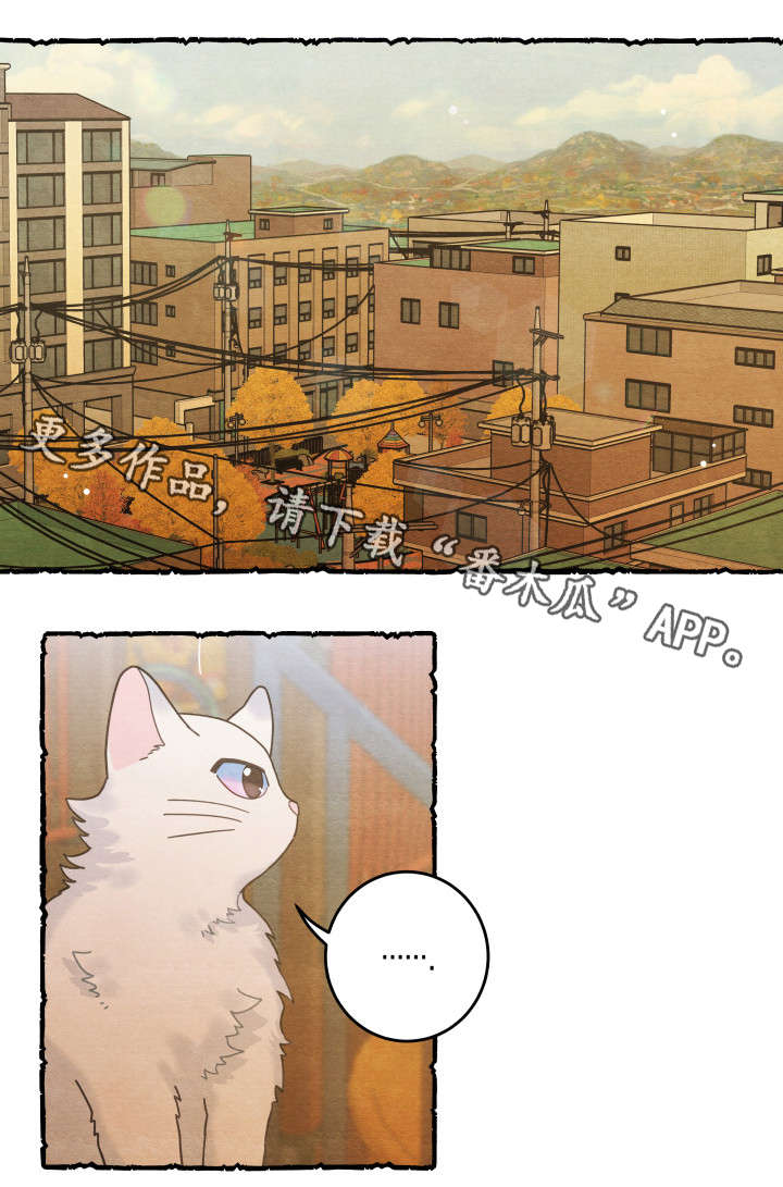 第38话5