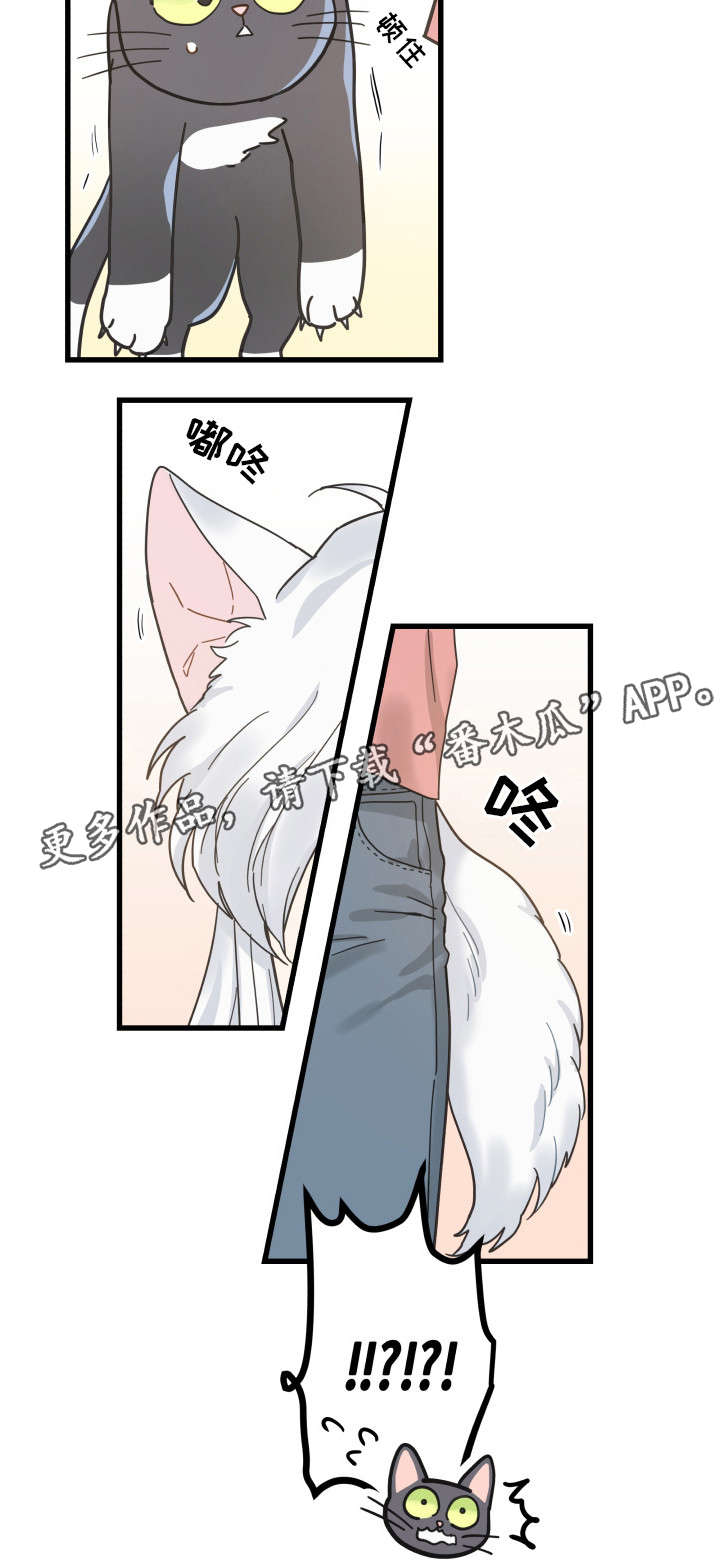 第36话13