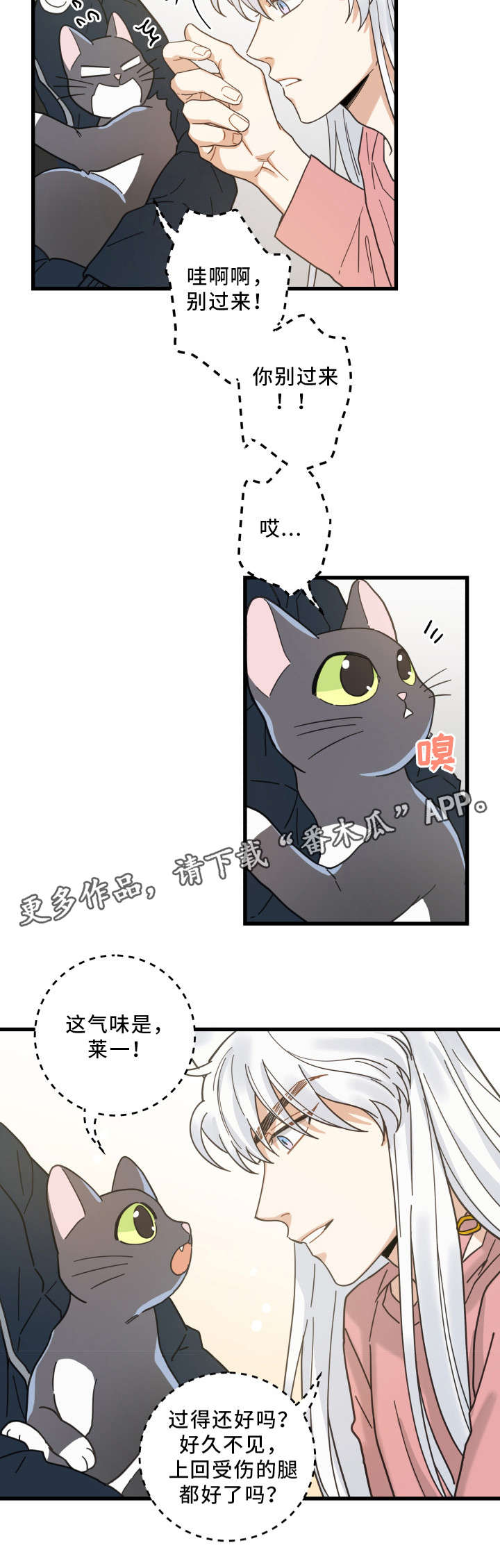 第36话15