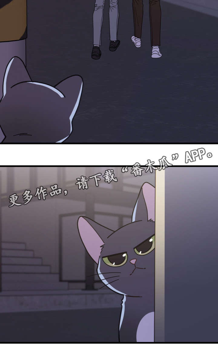 第33话11