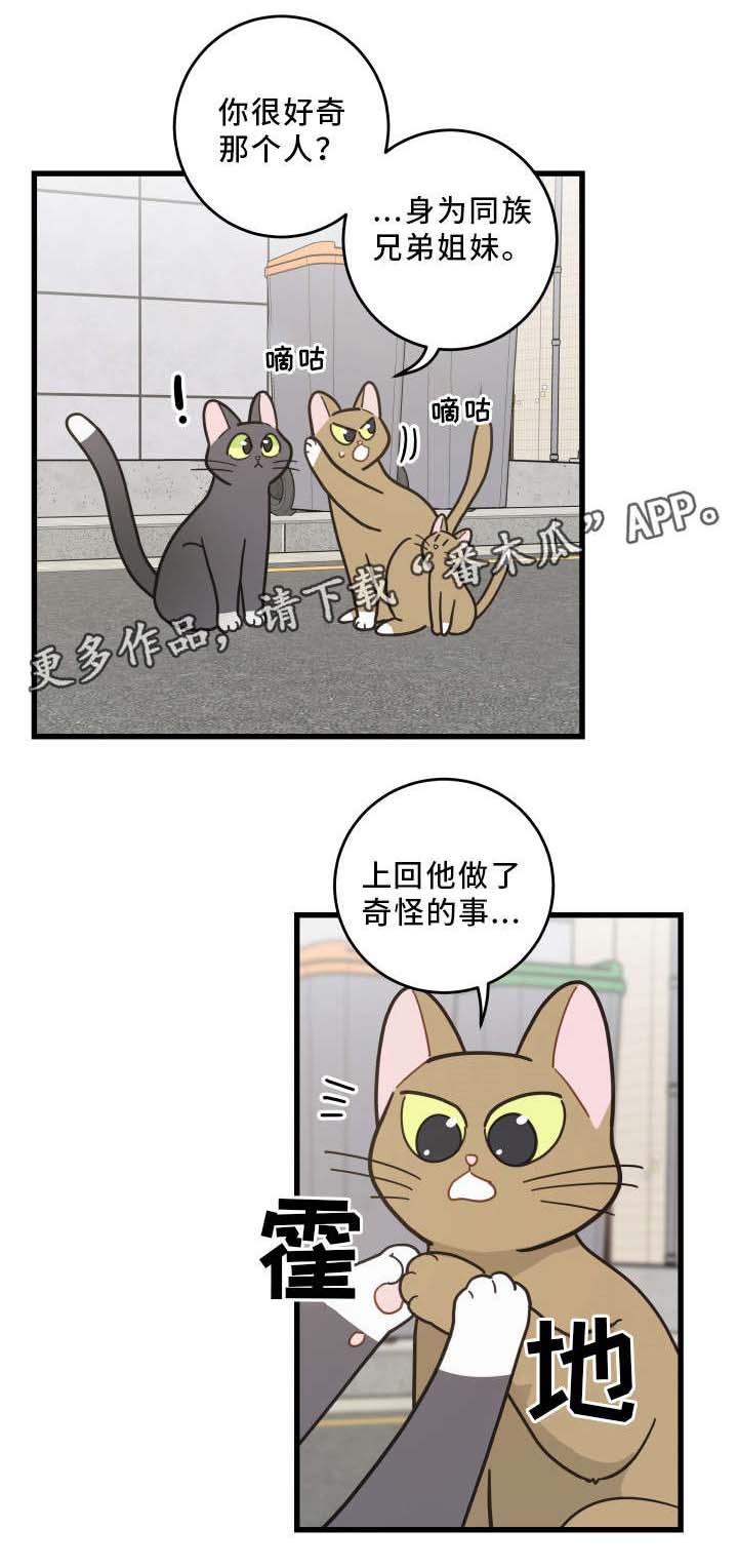 第32话3