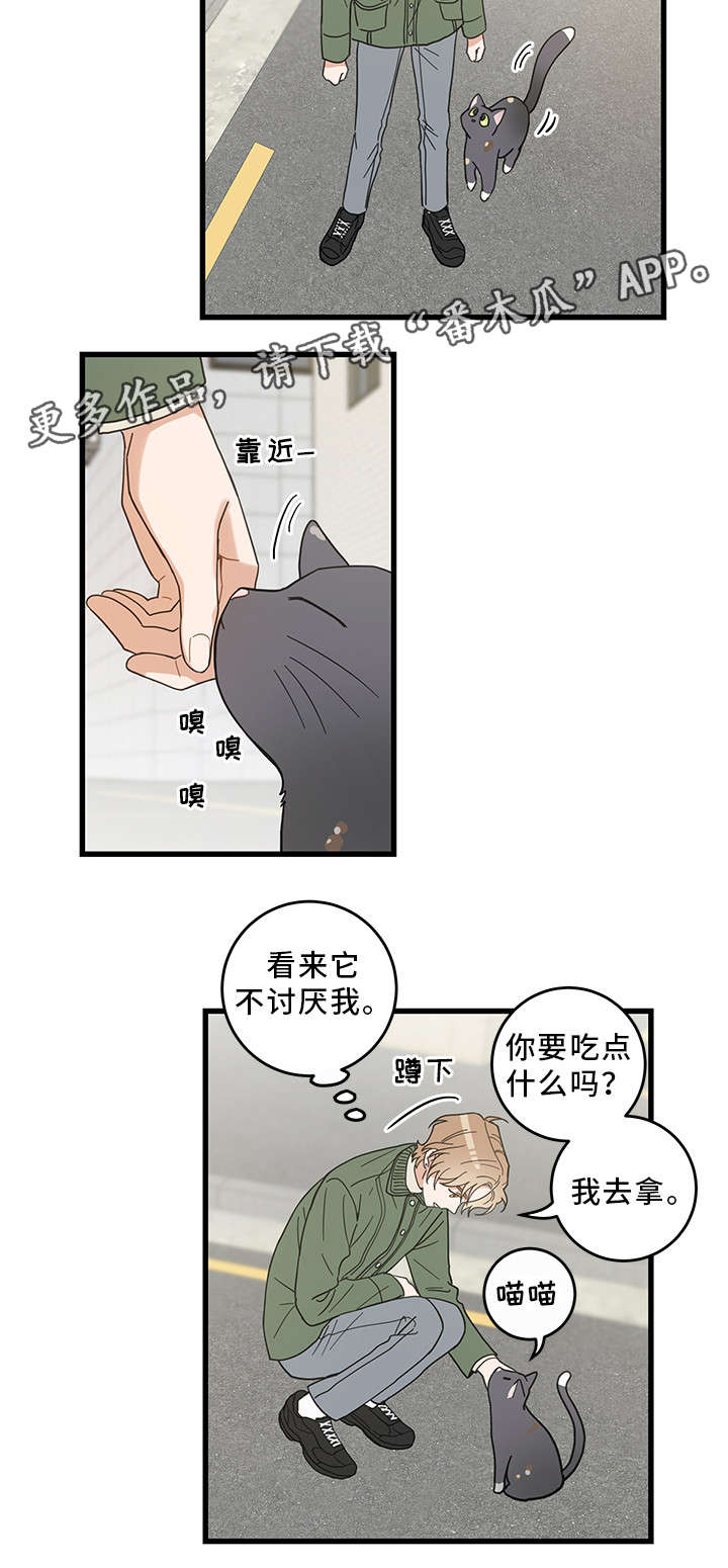 第31话10
