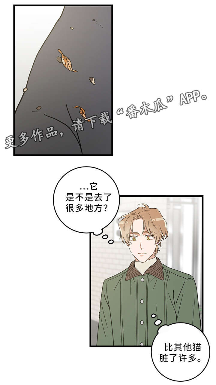 第31话8